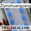 Ziyinzhuangyang 21